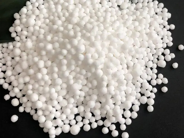 ���ͻ�����ѩ��