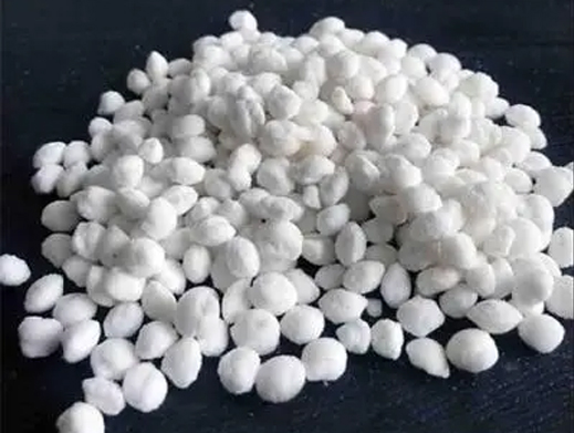 ��������ѩ��һ��